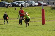 OTFL Gallery Image